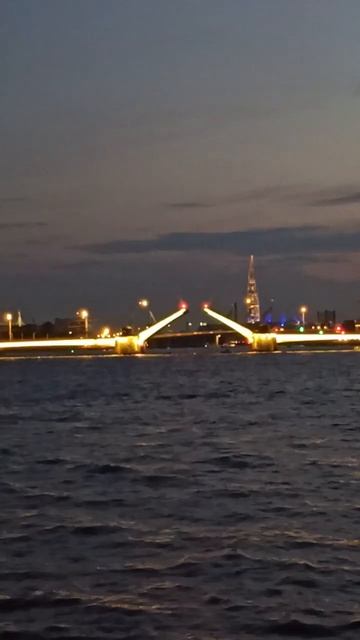 развод Тучков мост. смотреть онлайн