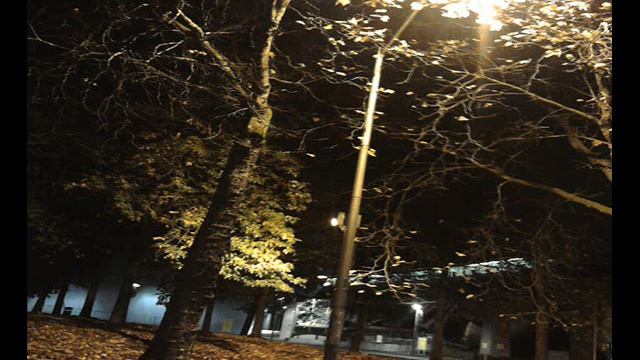 Licorice Root смотреть онлайн