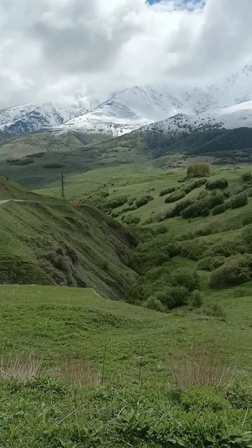 Северный Кавказ!!! смотреть онлайн