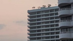 4# После завтрака, едем на Ко Чанг. Завтраки в отеле D Varee Jomtien Beach. Февраль 2024 г.