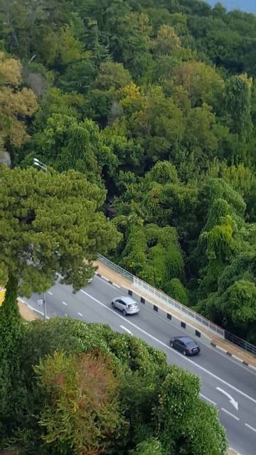 Сочи август 2016 смотреть онлайн