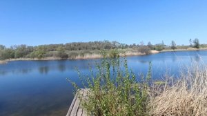 Прудик у дороги