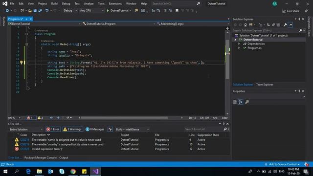 Net C# Programming - String Basics
