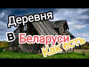 Беларуская деревня. Как живут люди #construction #беларусь #wood
