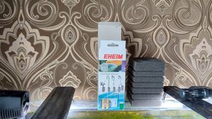 #eheim #prefiltereheim #em4004320 Префильтр EHEIM 4004320