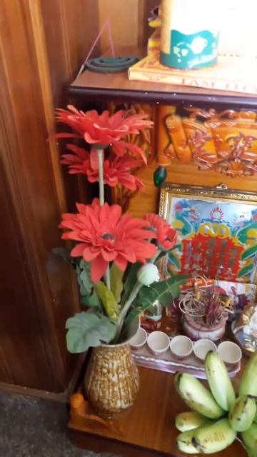 Осваиваю ютуб смотреть онлайн