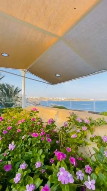 #Шармэльшейх#Шарм-эль-Шейх #Sharm el-Sheikh #egypt #sharmelsheikh #hurghada #pyramid #travel #沙姆沙伊赫