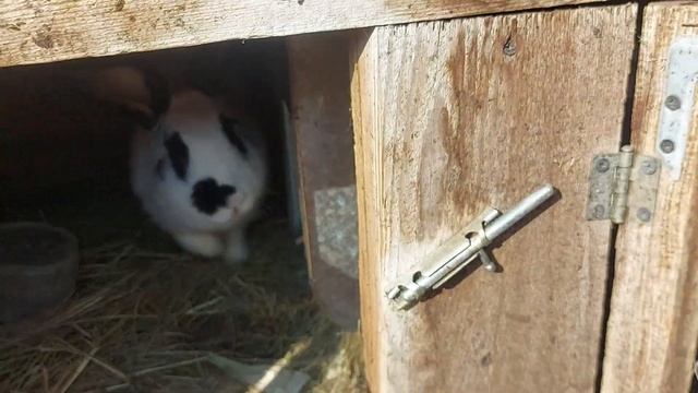 вернулся на хозяйство! А тут... смотреть онлайн
