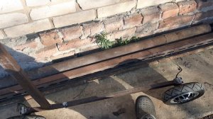 Вариант электросамоката