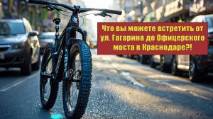 Краснодар, Гагарина и Гаврилова, велопрогулка по ФМР.