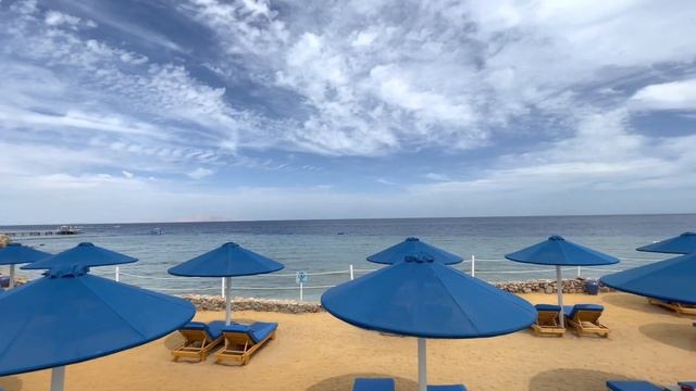 Egypt 2022. Hotel Albatros Royal Grand. Sharm el Sheikh. Египет. Шарм эль Шейх. смотреть онлайн