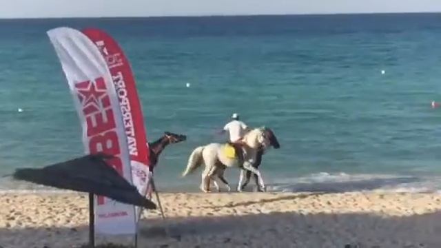 2017. Тунис. Джерба. Reddison Blu Ulisse смотреть онлайн