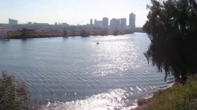 Лето на берегу в Строгино смотреть онлайн