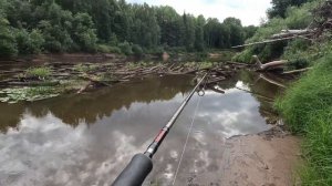 СПЛАВ ПО ВЕТЛУГЕ!РЫБАЛКА НА СПИННИНГ В КОСТРОМСКОЙ ОБЛАСТИ! #рыбалка #fishing #природа#отдых