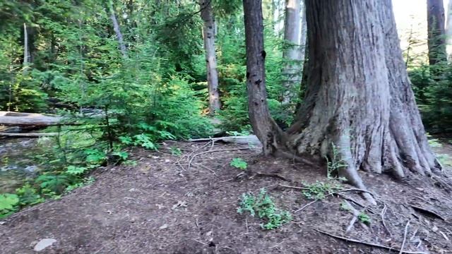 🇺🇸 Кемпинг 🏕️ на озере в Айдахо 🇺🇸