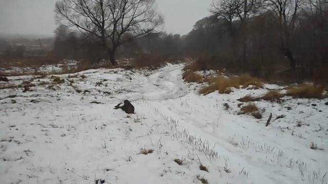 В селе Селище Почепского района Брянской области
