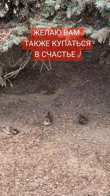 КАЙФУЙТЕ #популярно #мотивация #мысли #психолог #счастье