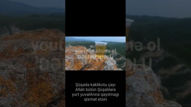 Şuşada kəklikotu çayı смотреть онлайн