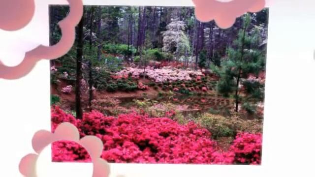 Новая Япония Japan смотреть онлайн