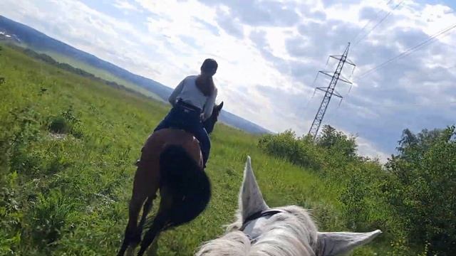 КОВБОИ В СИБИРИ !!! смотреть онлайн