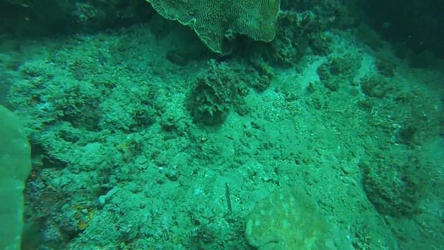 Индонезия, Бали. Nusa Dua 1-й дайв. смотреть онлайн