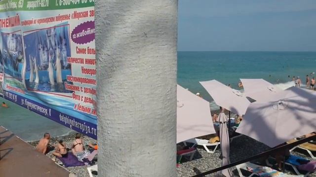 День Ивана Купалы! Жара, пляж Свирский. Лазаревское Сочи. Воздух +28 С, море +26 С. 7 июля 2024 смотреть онлайн