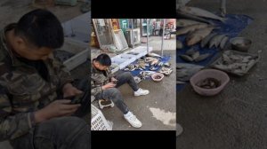 Китай. Жаохе. Наши туристы самые весёлые и креативные... видио от двух Светлан и Натальи💥💥💥