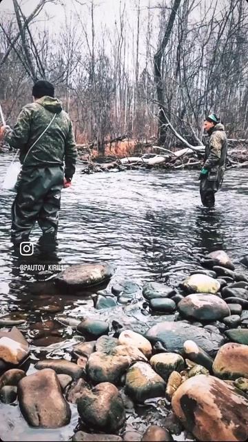 КАЙФЫ ПРИРОДНЫЕ😍😍😍😍😍😍 смотреть онлайн