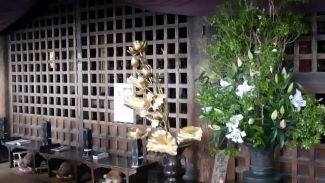 Нара (Япония) 2019 смотреть онлайн