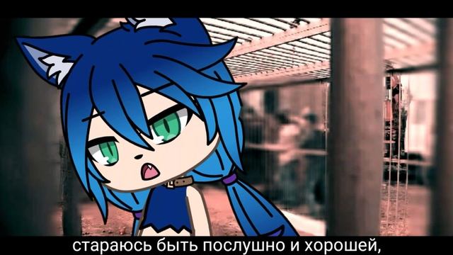 Beast Dance клип смотреть онлайн