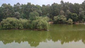 Дендропарк и Музыкальный парк в Шекветили. Грузия.