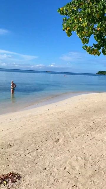 Отпуск на море. Ямайка. Семейный отель на всё включено ClubHotel Riu Negril 5*, территория смотреть онлайн
