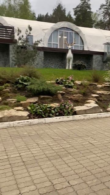 Всесезонный курорт Манжерок #altai #алтай смотреть онлайн