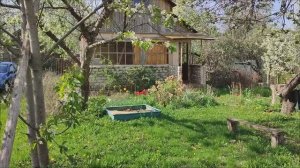 Дача. Воронеж. Дальние сады