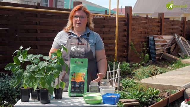 3 главные подкормки перца летом! Все удобрения для богатого урожая