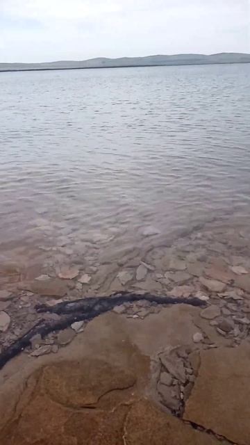 12 августа 2024 г. смотреть онлайн