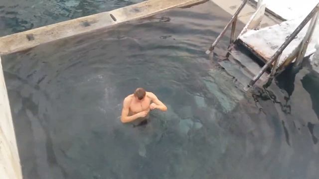 Моржжж))) смотреть онлайн