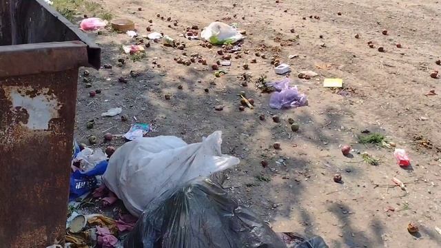 Vlog 28.08.2023 Манту Вове и Диме/Направление к окулисту Вове/Уборка травы смотреть онлайн