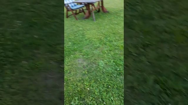 Италия Кортина cortina d ampezzo, ресторан el caminetto 5 июль 2020 смотреть онлайн