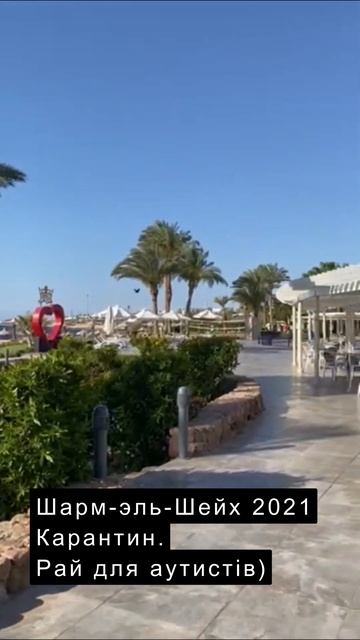 Крантин. Египет. Шарм-эль-Шейх #shorts смотреть онлайн