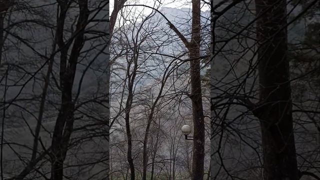 санаторий Армхи.лестница здоровья смотреть онлайн