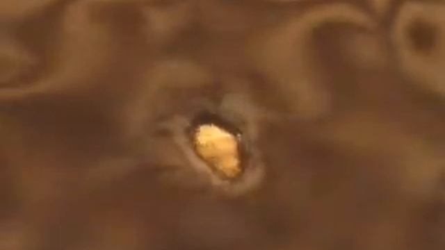 Реклама Wrigley смотреть онлайн