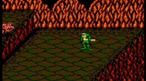 Battletoads (Боевые жабы) 1 уровень