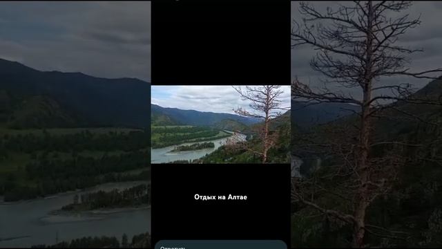 Отдых на Алтае. #отдых #travel #алтай #лето #горы смотреть онлайн