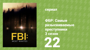 ФБР: Самые разыскиваемые преступники 3 сезон 22 серия «Человек без родины» (сериал, 2022)