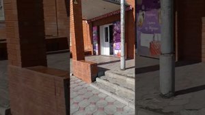 Станица Петровская Краснодарского края#10соток#станицаПетровская#Петровская#сад#блогер#Краснодарски