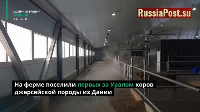 Бум в российском агропроме! В ноябре открылось 34 новых предприятия!