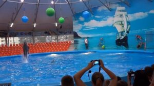 Дельфинарий Джубга