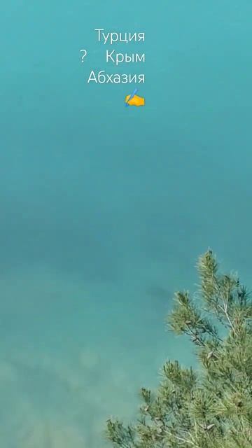 как думаешь? #турция #крым или #абхазия напиши в комментариях смотреть онлайн