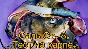 НОЖ из стали Сr8. Тест по хребту и ребрам. #карп #нож #рыбалка